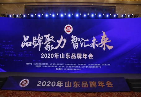 品牌聚力 智汇未来 AG尊龙凯时国际荣获2020年度山东知名品牌